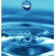 Aquatische noot